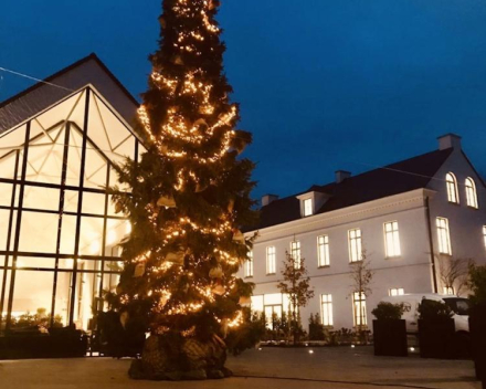 Kerstboom Koolputten Hamme plaatsen en versieren